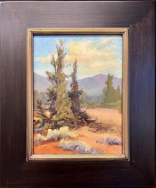 Click to view detail for High Country 9x12 $490